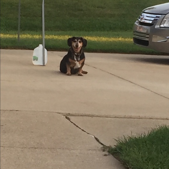 Meet your Posher, Lori - Picture 1 of 1